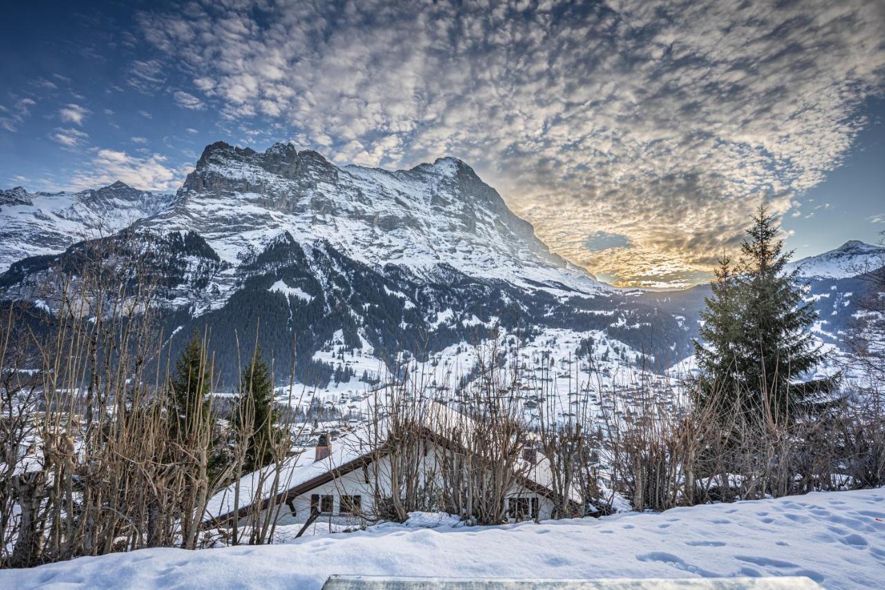 Chalet Weid - Aare Jungfrau Ag Grindelwald Exteriér fotografie